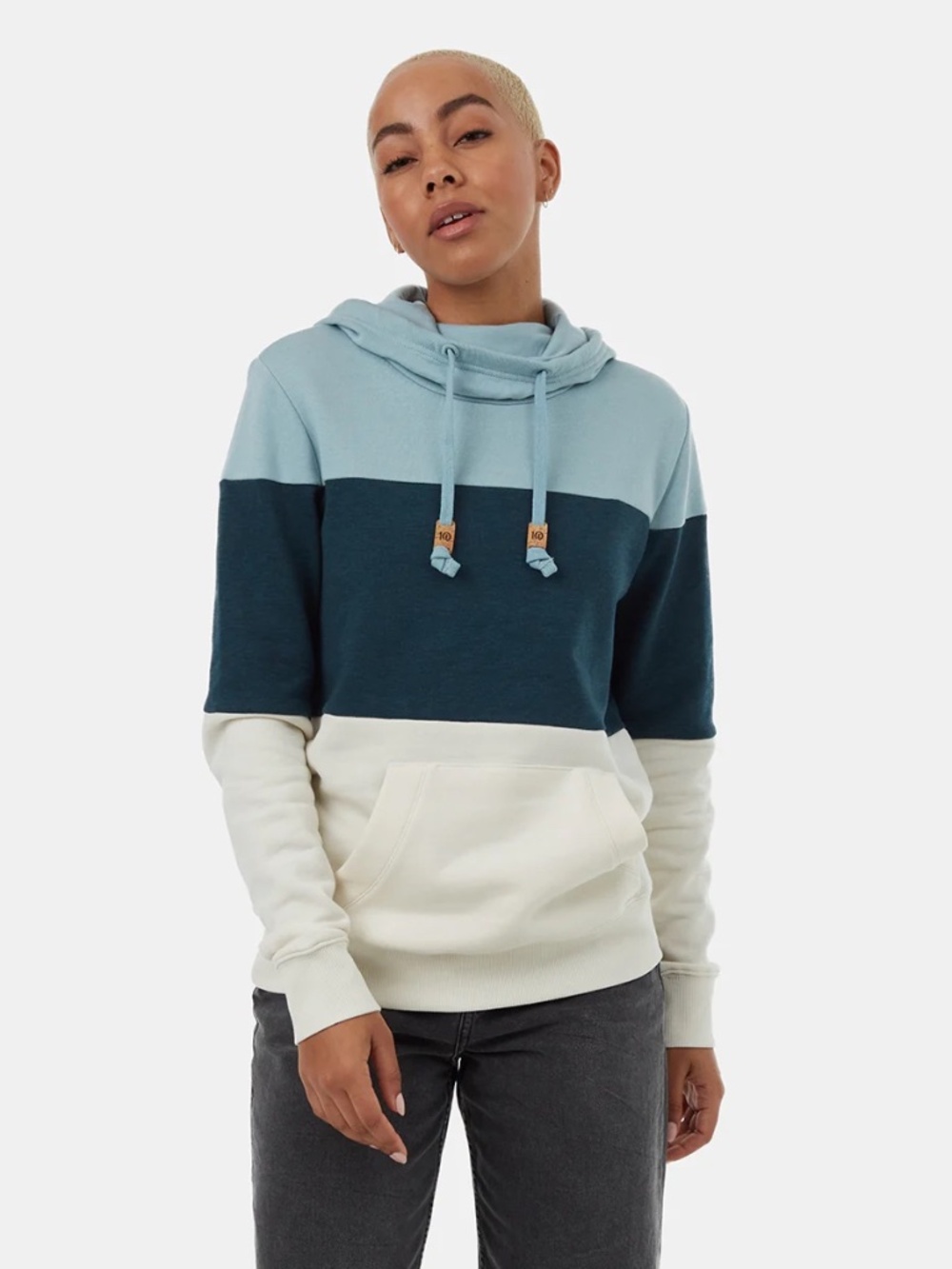 Tentree Blocked Banshee Hoodie